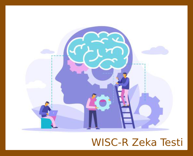WISC-R Zeka Testi